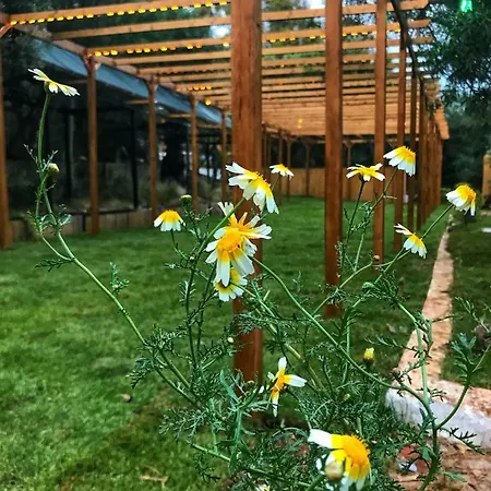 Green Art Resort